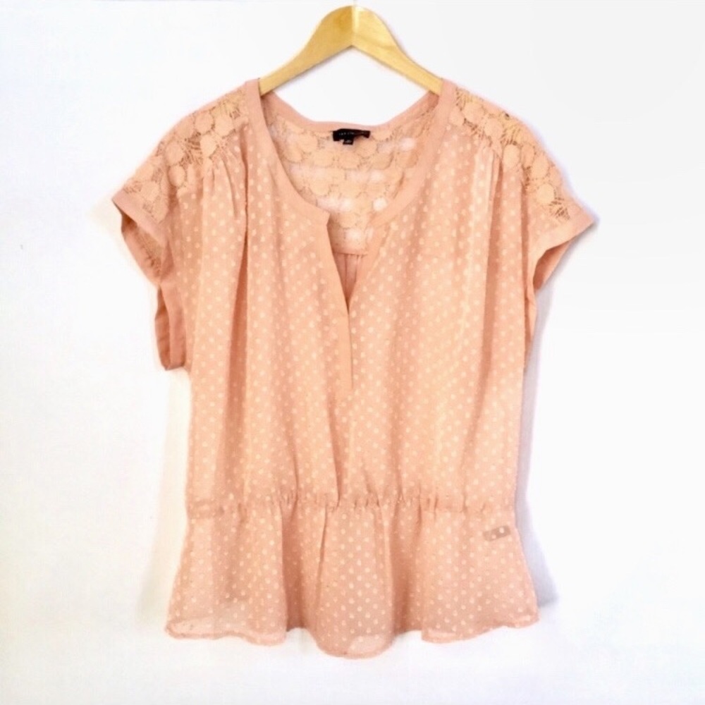 The Limited Sheer Swiss Dot Top